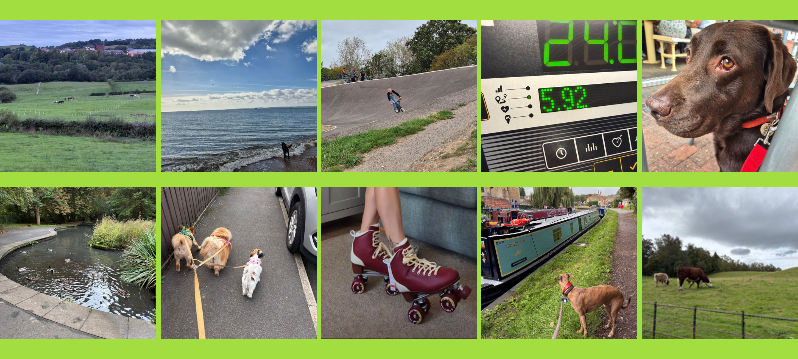 Collage of pictures taken during BGTD challenge